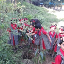 KG Section tree plantation 18-19