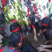 KG Section tree plantation 18-19