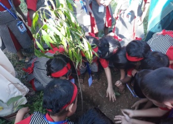 KG Section tree plantation 18-19