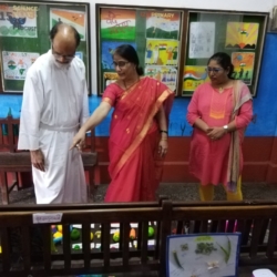 IMG_20190814_082251_resized_20190817_100442749